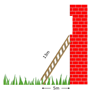 A 13 meter ladder propped up on a brick wall with the ladder's base being 5 meters away from the wall