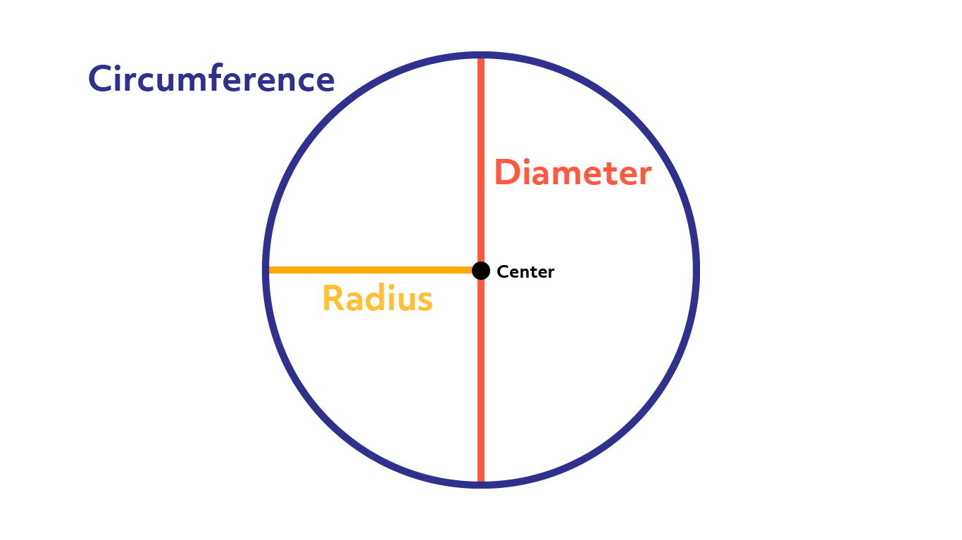 Круг ест круга. Радиус. Radius and diameter. Circumference of a circle. Circumference of a circle Formula.