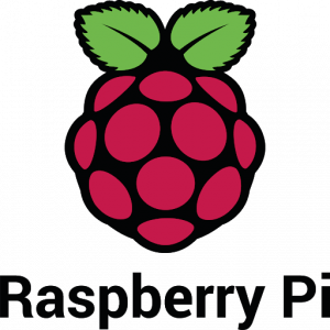 The Raspberry Pi logo