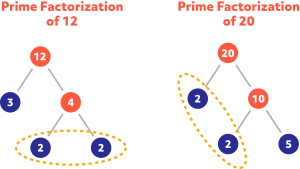 Diagram showing the prime factorization of 12 and 20