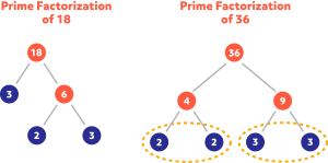 Diagram showing the prime factorization of 18 and 36