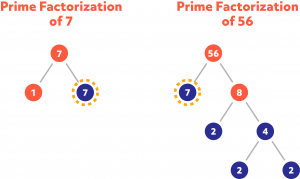 Diagram showing the prime factorization of 7 and 56